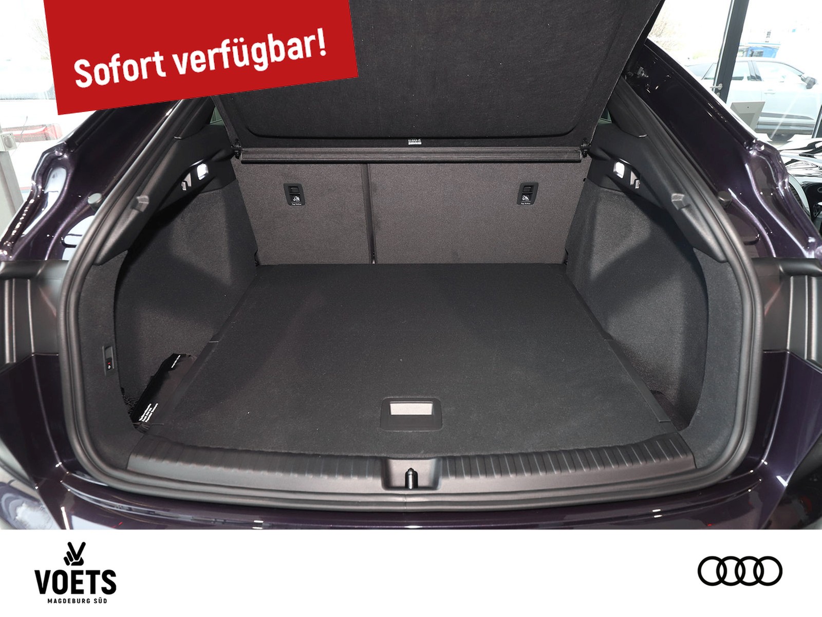 Fahrzeugabbildung Audi Q4 e-tron Sportback 40 e-tron SLINE+MATRIX LED