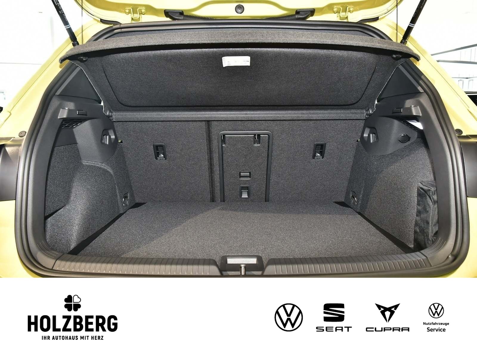 Fahrzeugabbildung Volkswagen Golf 2.0 TSI DSG 4Motion R 333 Limited Edition