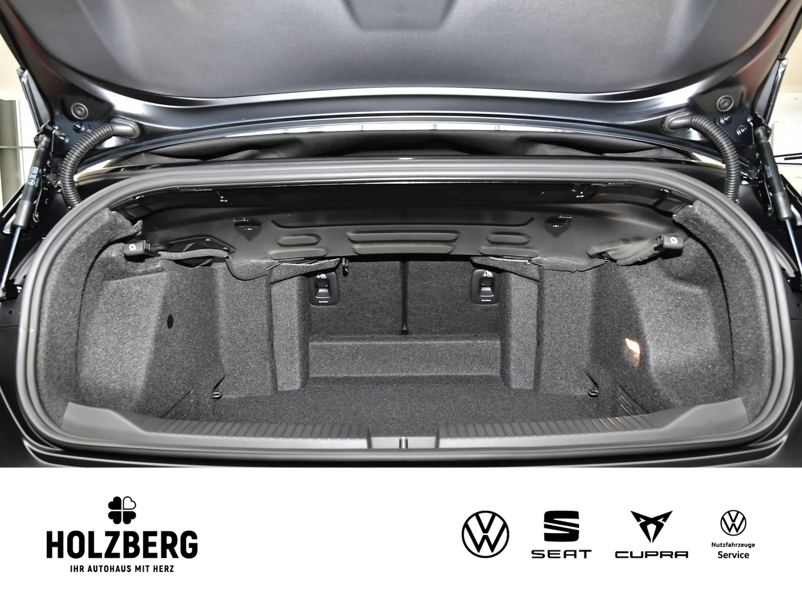 Fahrzeugabbildung Volkswagen T-Roc Cabriolet 1.5TSI DSG R-Line Edition Black